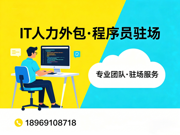 天津IT人力外包解决方案｜专业程序员驻场开发服务｜快速解决技术人才需求